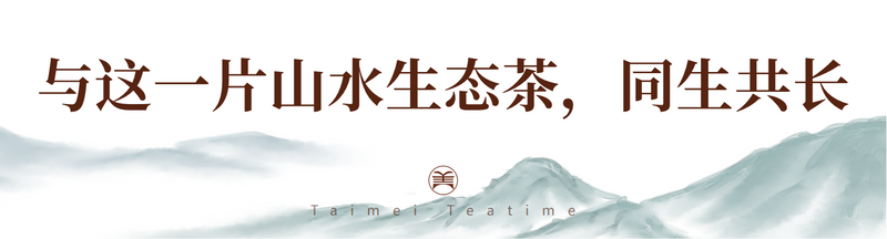 有关于泰美好茶的秘密,都藏在这片生态茶园里的相关信息(6)