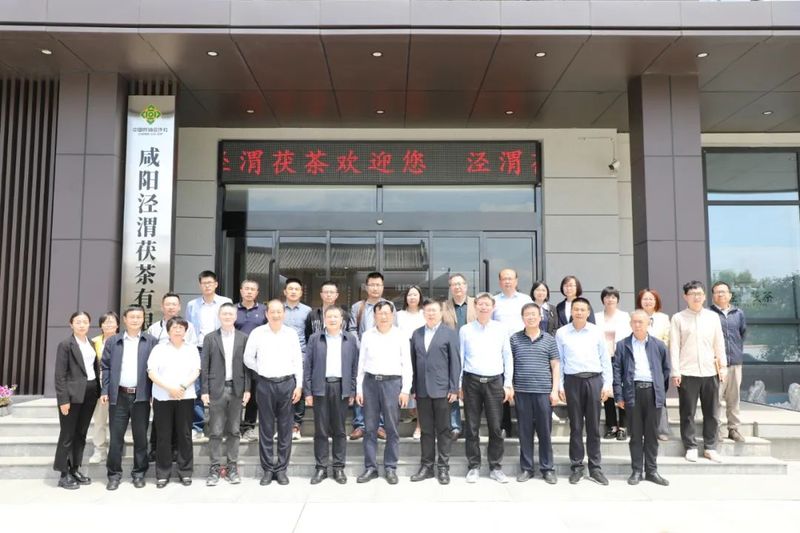 有关于陕西省茯茶产业技术体系成立会议在咸阳召开的资讯(5)