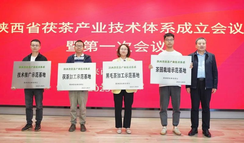 有关于陕西省茯茶产业技术体系成立会议在咸阳召开的资讯(2)