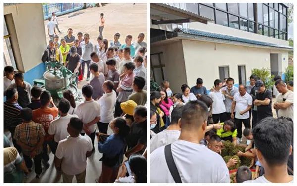 关于茶叶所江城县“百团千员助农增收行动”农科服务团开展茶叶综合技术培训及科技服务的相关内容(2)