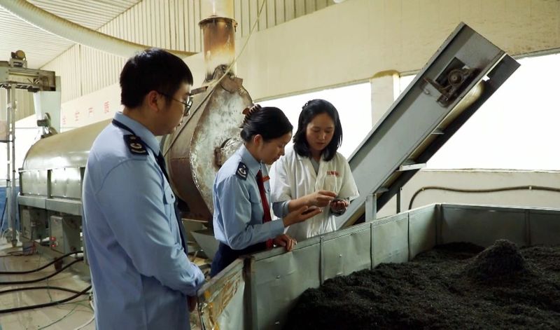 关于凤冈：“税医生”助力茶叶变“金叶”的资讯(3)