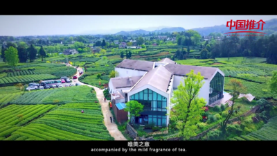 关于带您领略“茶的天堂”！余云峰向全球四海宾朋发出名山“邀请函”！的内容(5)