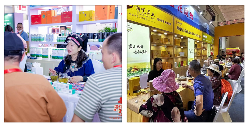 关于“五彩湘茶”2023北京国际茶业展圆满收官 经典好茶 地道风味“茗星”湘茶 广受追捧的相关内容(7)