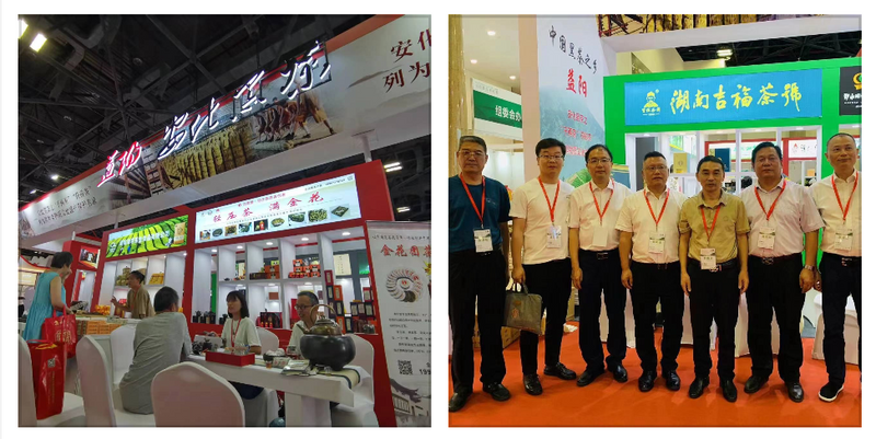 关于“五彩湘茶”2023北京国际茶业展圆满收官 经典好茶 地道风味“茗星”湘茶 广受追捧的相关内容(5)