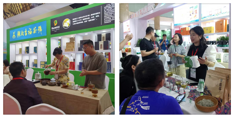关于“五彩湘茶”2023北京国际茶业展圆满收官 经典好茶 地道风味“茗星”湘茶 广受追捧的相关内容(6)