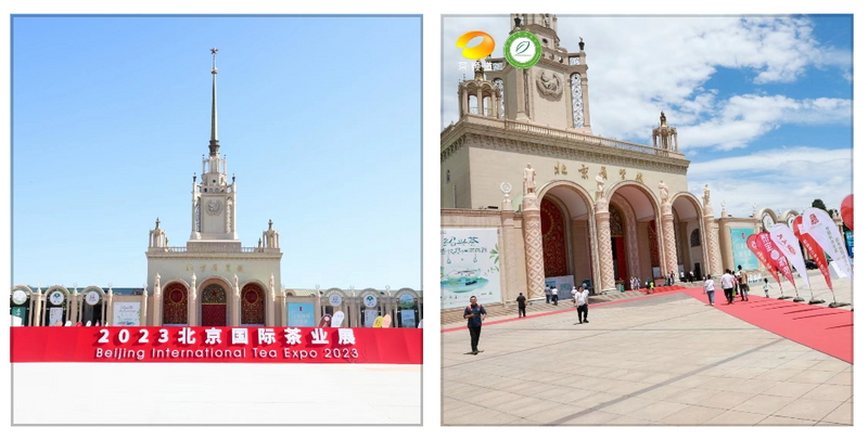 关于“五彩湘茶”2023北京国际茶业展圆满收官 经典好茶 地道风味“茗星”湘茶 广受追捧的相关内容