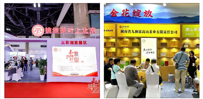 关于“五彩湘茶”2023北京国际茶业展圆满收官 经典好茶 地道风味“茗星”湘茶 广受追捧的相关内容(1)