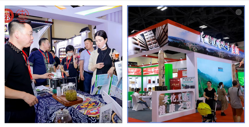 关于“五彩湘茶”2023北京国际茶业展圆满收官 经典好茶 地道风味“茗星”湘茶 广受追捧的相关内容(4)