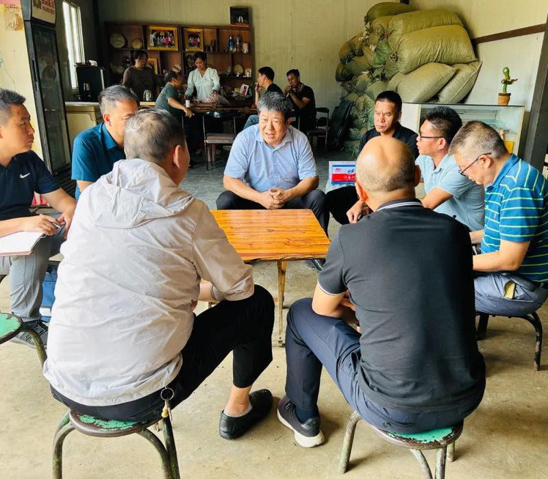 关于西双版纳州政协调研普洱茶产业提出：加大茶树茶园保护力度，推动茶产业健康发展的最新消息(1)