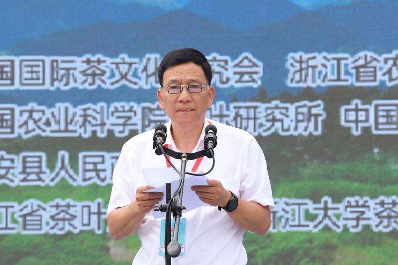 有关于玉山古茶场•2023中华斗茶大赛暨第八届磐安云峰茶文化节举行的新闻(2)