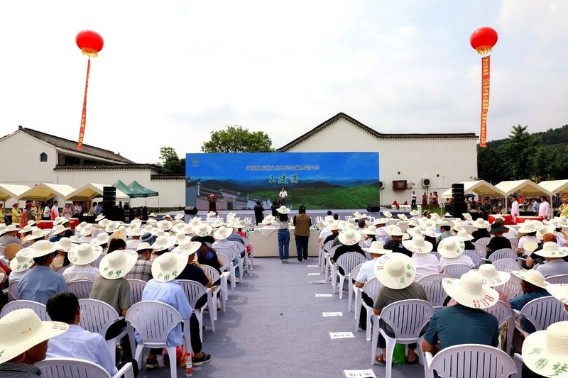 有关于玉山古茶场•2023中华斗茶大赛暨第八届磐安云峰茶文化节举行的新闻