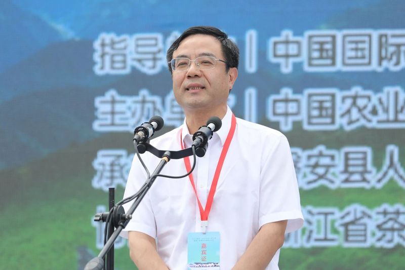 有关于玉山古茶场•2023中华斗茶大赛暨第八届磐安云峰茶文化节举行的新闻(3)