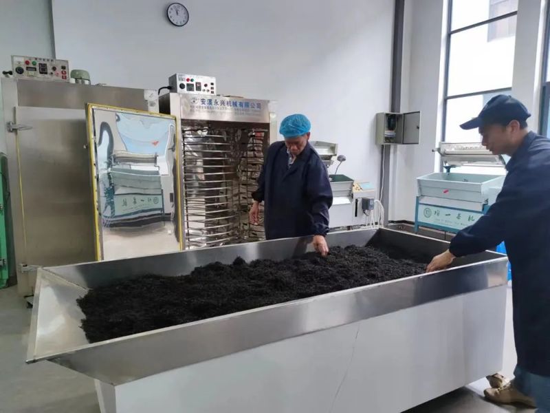 关于一片茶叶铺就一条共富之路的消息(1)