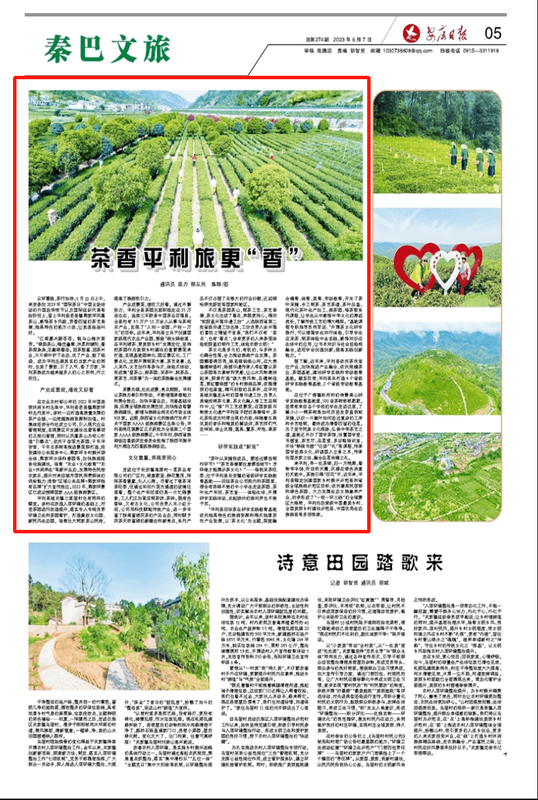 有关于茶香平利旅更“香” 的信息
