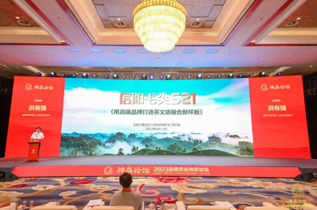 关于信阳市浉河区副区长洪有强：用高端品牌打造茶文旅融合新样板的新闻(1)