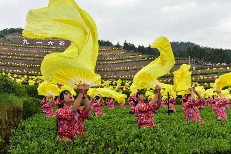 关于安徽舒城：醉美舒城兰花茶谷—赏湖光山色、享人间福地、逛人文舒城的最新消息(12)