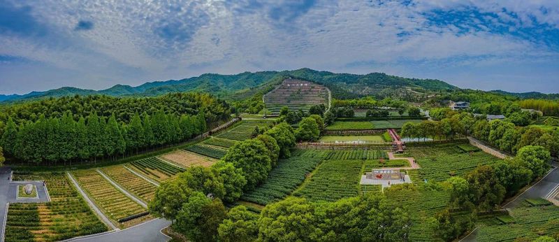 关于安徽舒城：醉美舒城兰花茶谷—赏湖光山色、享人间福地、逛人文舒城的最新消息(3)