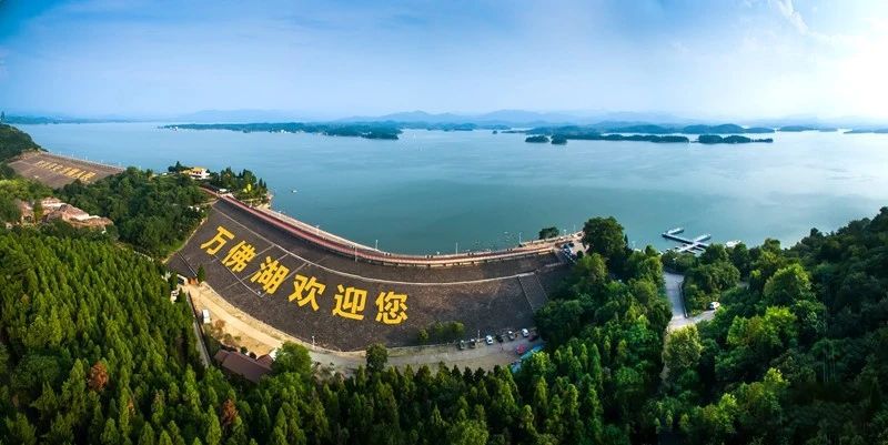 关于安徽舒城：醉美舒城兰花茶谷—赏湖光山色、享人间福地、逛人文舒城的最新消息(5)