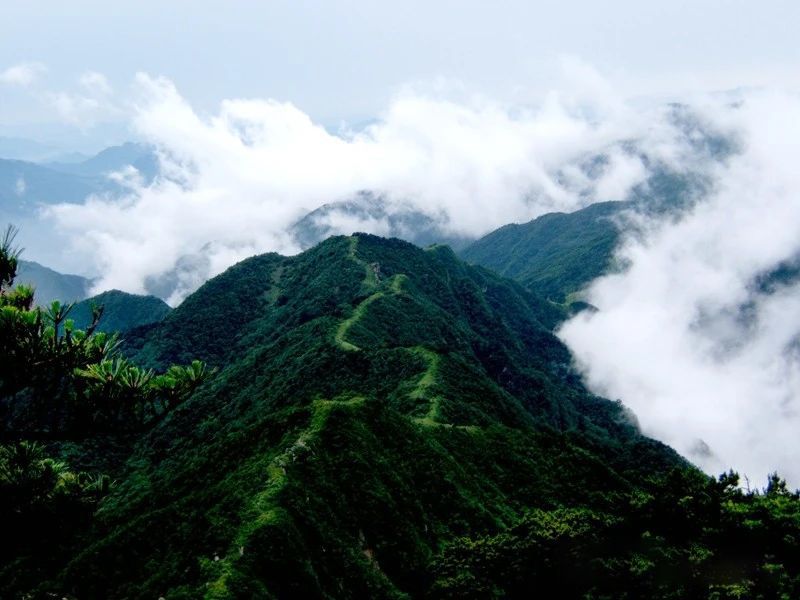 关于安徽舒城：醉美舒城兰花茶谷—赏湖光山色、享人间福地、逛人文舒城的最新消息(6)