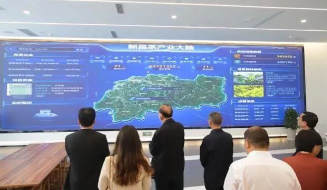 有关于春茶中国行⑬：3个月12个茶县，得出这样的结论？的新闻(9)