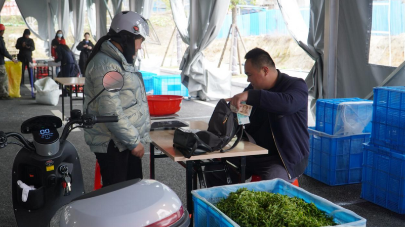 有关于春茶中国行⑬：3个月12个茶县，得出这样的结论？的新闻