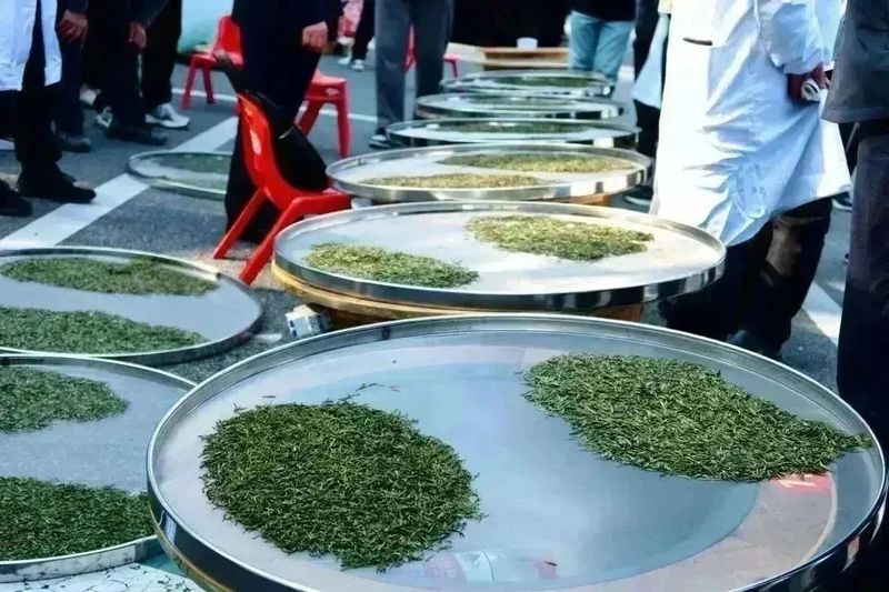 有关于春茶中国行⑬：3个月12个茶县，得出这样的结论？的新闻(5)