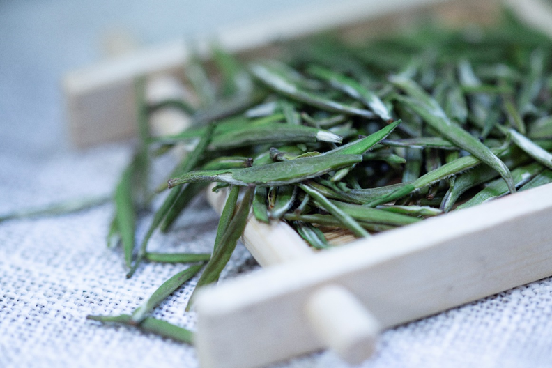 关于饮一杯早春佳茗，揽百里侗乡入怀——共品三江“中国早春第一茶”的信息(2)