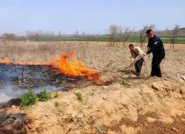 关于“茶警”护航，海青茶更香的最新消息(2)