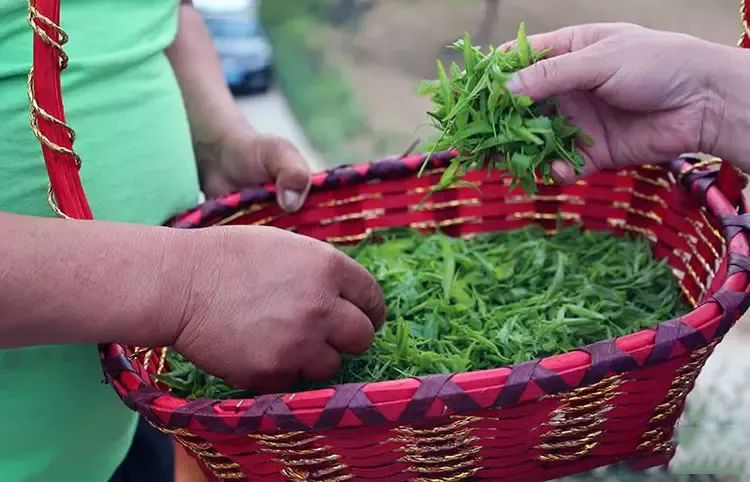关于超乎想象!延安枣茶发布会亮点不容错过!的内容(3)