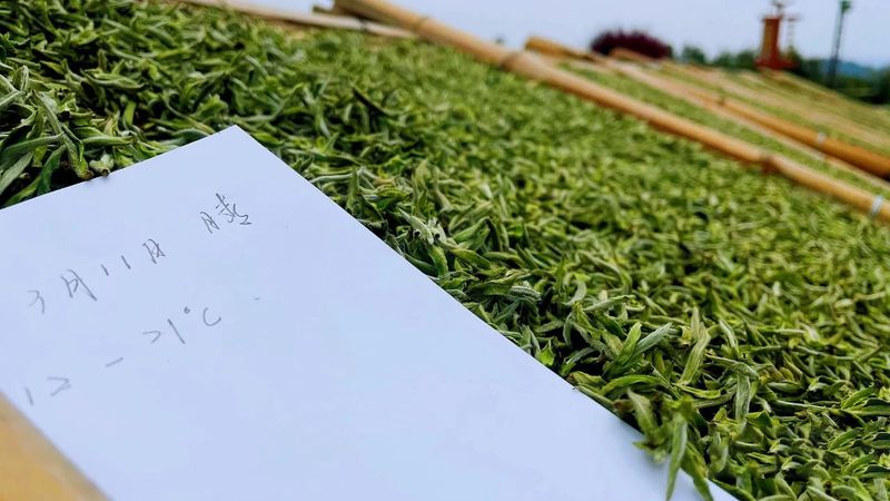 关于“靠天吃饭”,“知天而作”!的最新消息(3)