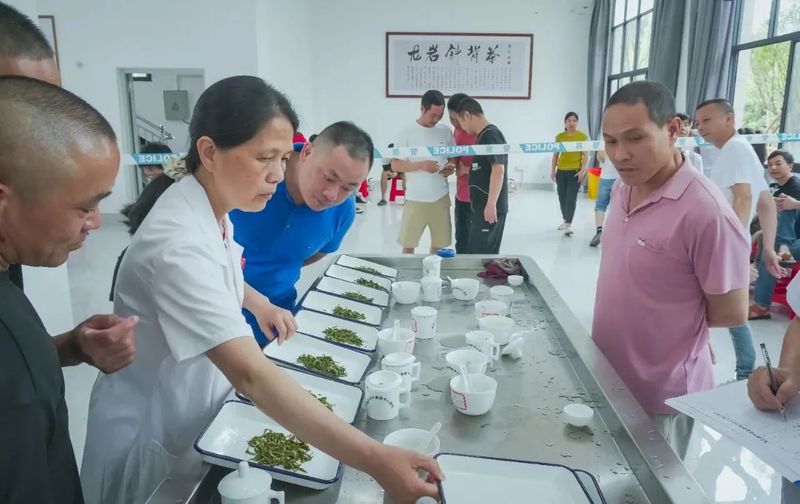 有关于龙岩斜背茶第六届茶王赛举办的内容(4)
