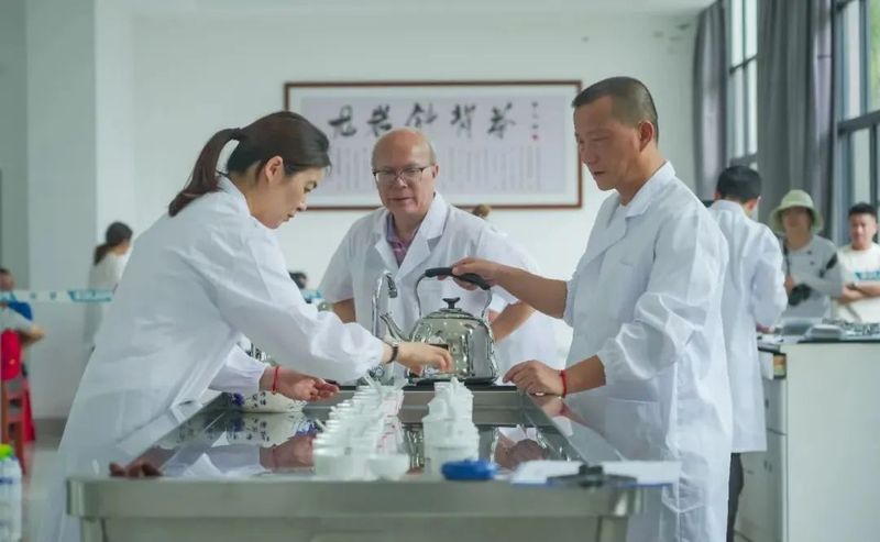 有关于龙岩斜背茶第六届茶王赛举办的内容