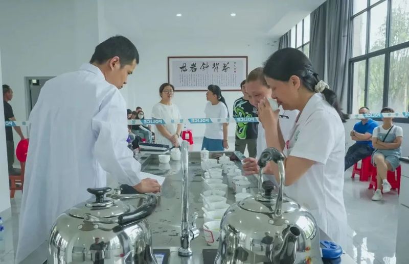 有关于龙岩斜背茶第六届茶王赛举办的内容(5)