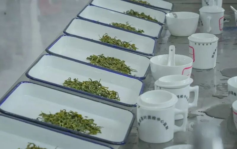 有关于龙岩斜背茶第六届茶王赛举办的内容(6)