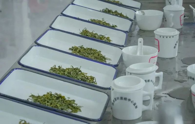 有关于龙岩斜背茶第六届茶王赛举办的内容(2)