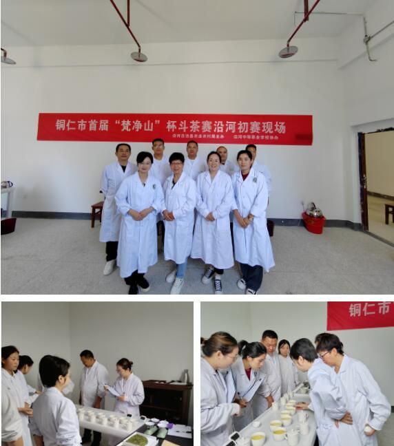 关于国家乡村振兴科技特派团 “组团式”帮扶助力沿河茶产业发展的相关内容(2)