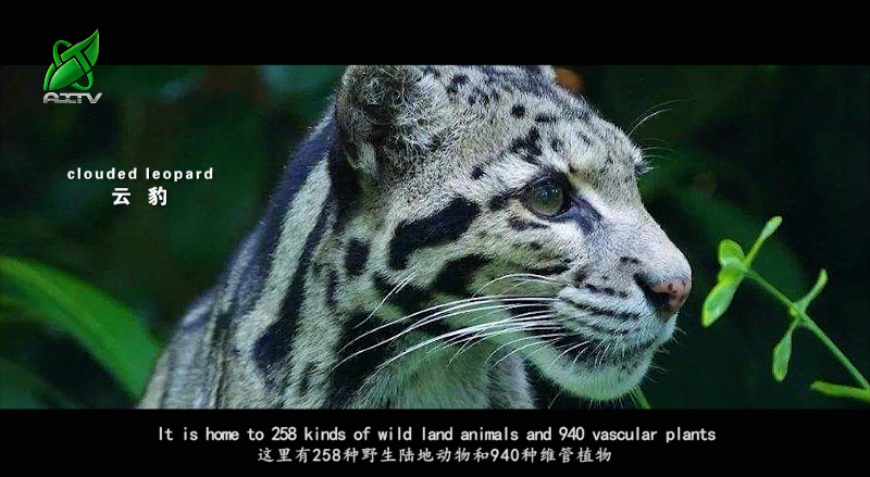 关于安溪铁观音茶文化系统获颁“全球重要农业文化遗产”证书的资讯(11)