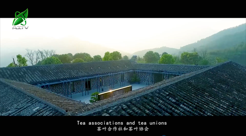 关于安溪铁观音茶文化系统获颁“全球重要农业文化遗产”证书的资讯(13)