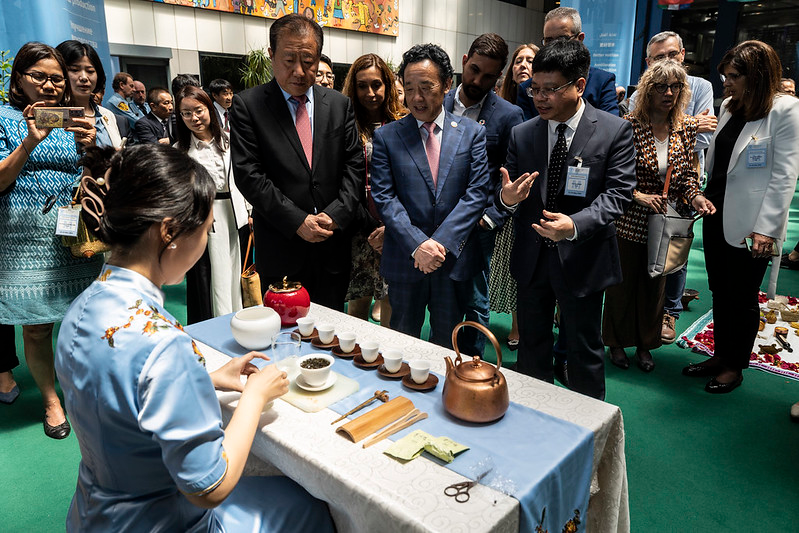 关于安溪铁观音茶文化系统获颁“全球重要农业文化遗产”证书的资讯(6)