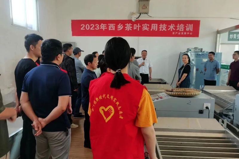 关于西乡党建引领技能培训促茶产业高质量发展的最新消息(1)