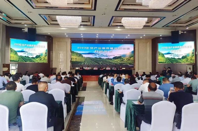 关于西乡党建引领技能培训促茶产业高质量发展的最新消息