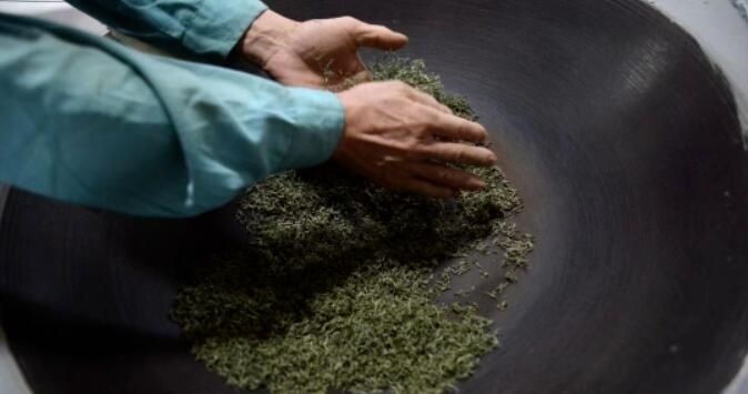 有关于九甲千家寨  千年茶韵醉茶乡的相关内容(3)