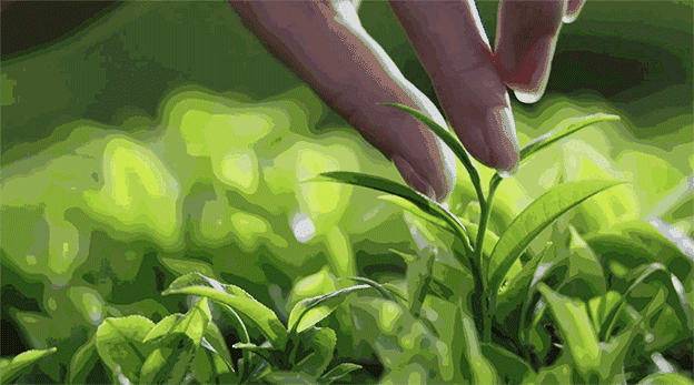 有关于湖北茶七大区域公共品牌“香”聚杭州茶博会，传统与时尚碰撞的最新消息(9)