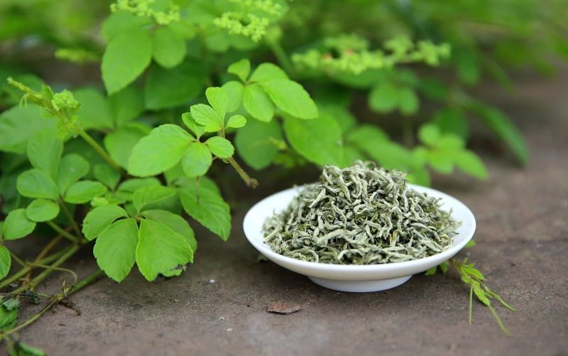 关于天地相合 以降甘露—味独珍早春甘露的内容(2)