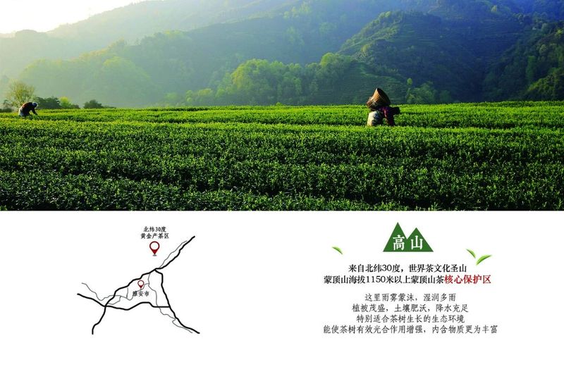 关于天地相合 以降甘露—味独珍早春甘露的内容(6)