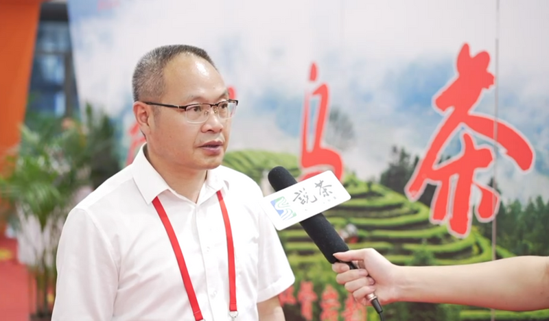 关于生态高山茶香飘广州！看见“奇迹金叶”的升级路径的信息(6)