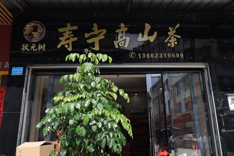 关于生态高山茶香飘广州！看见“奇迹金叶”的升级路径的信息(11)