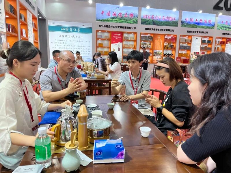 关于生态高山茶香飘广州！看见“奇迹金叶”的升级路径的信息(4)