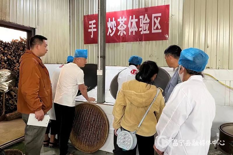 关于昌宁县2023年茶叶行业劳动技能竞赛温泉赛区制茶比赛开赛的相关内容