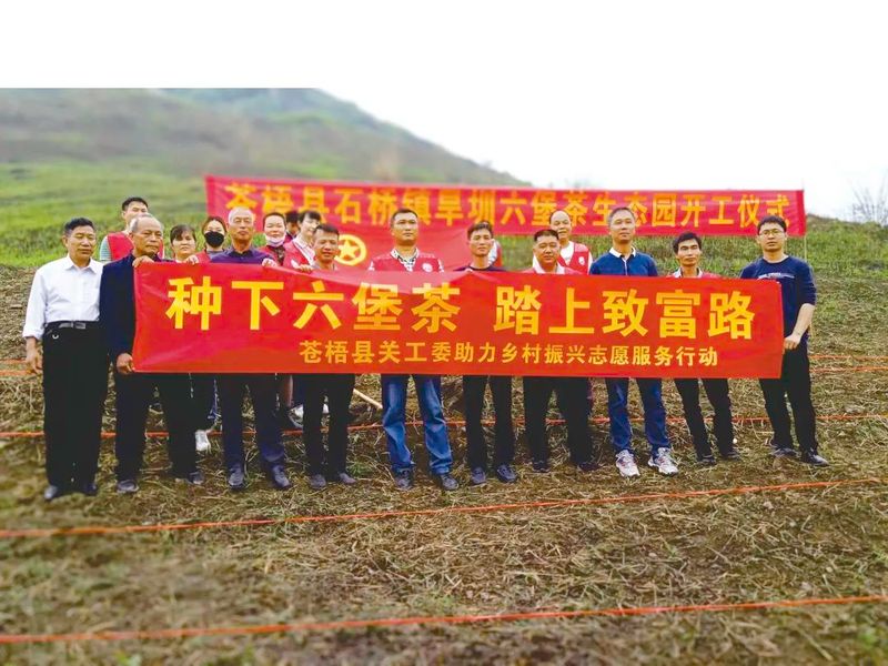 关于苍梧县：发挥老同志优势作用助推六堡茶产业做大做强的资讯